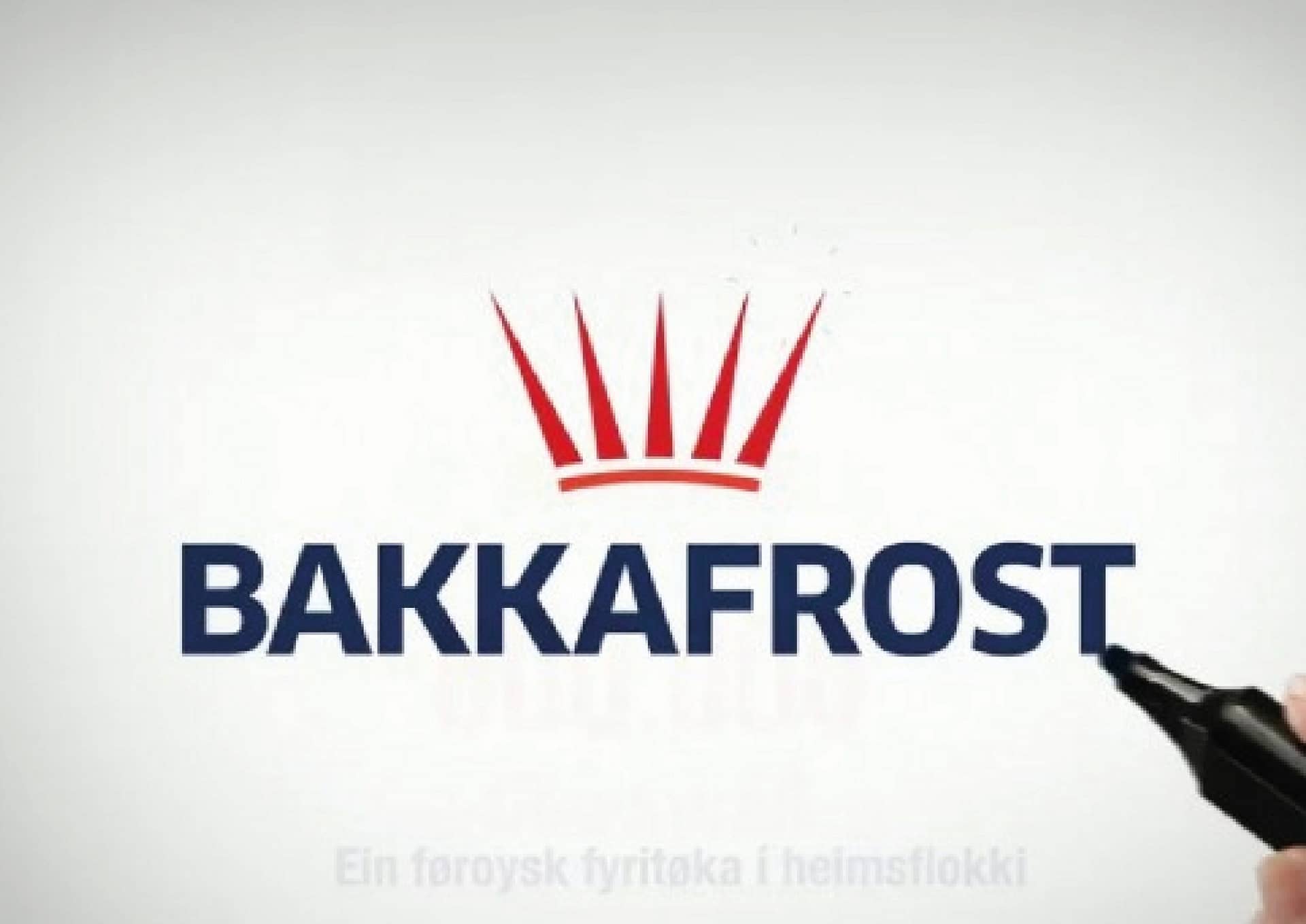 Bakkafrost explainer